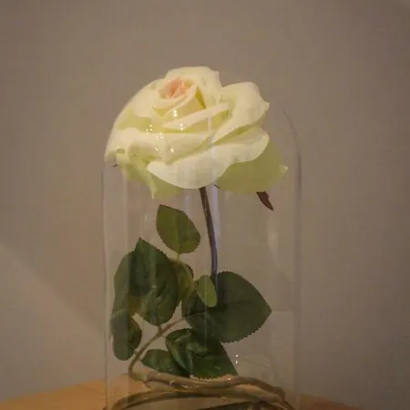 게스트하우스 Be Italian Flat Piazza Bovio 22 나폴리